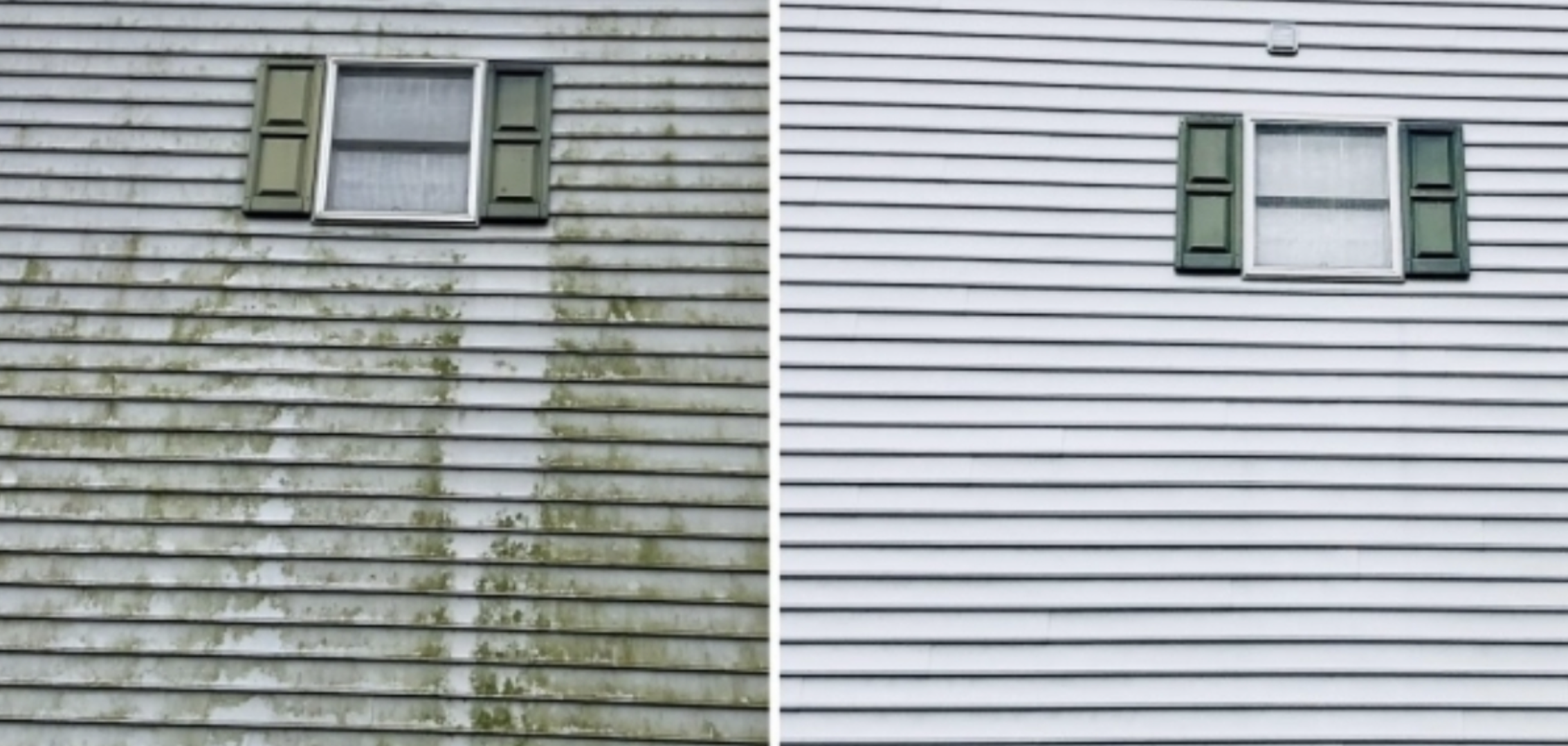 Before and after vinyl siding cleaning — green algae removal